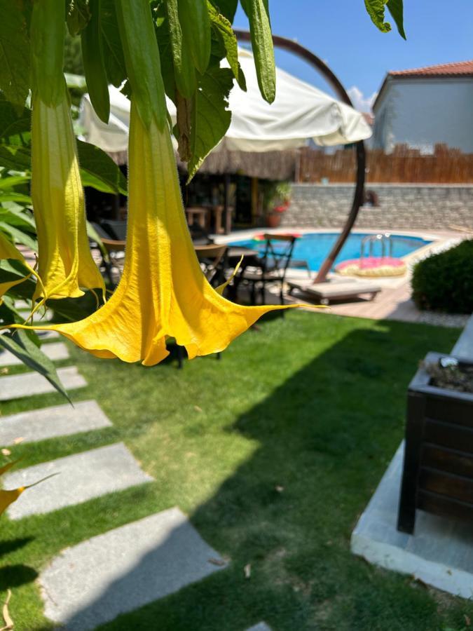 Pupa Alaçatı Butik Otel Cesme Bagian luar foto