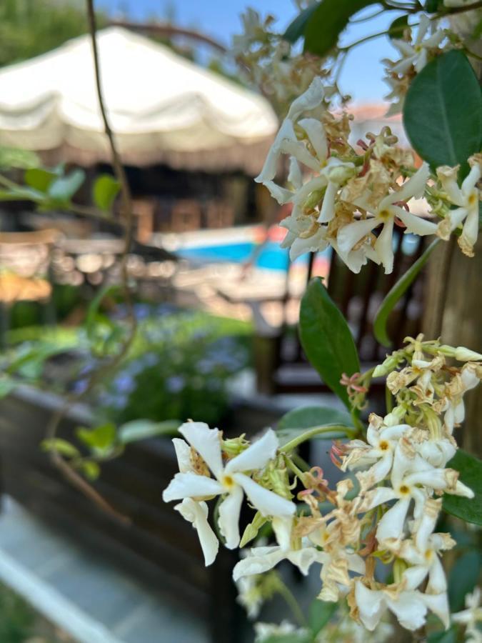 Pupa Alaçatı Butik Otel Cesme Bagian luar foto